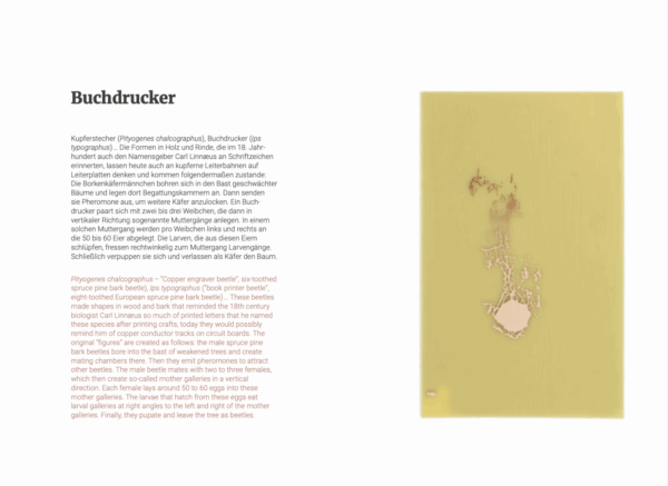 A QUEEN'S BUILDING – Bild 5